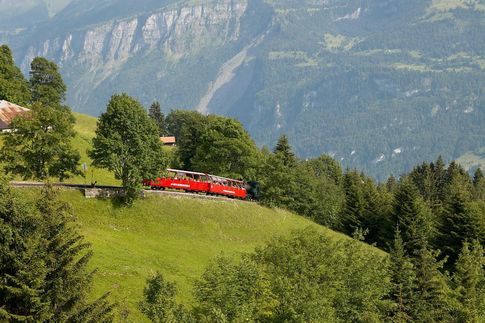 Casi - Partial View Apartment Brienz (Bern)
